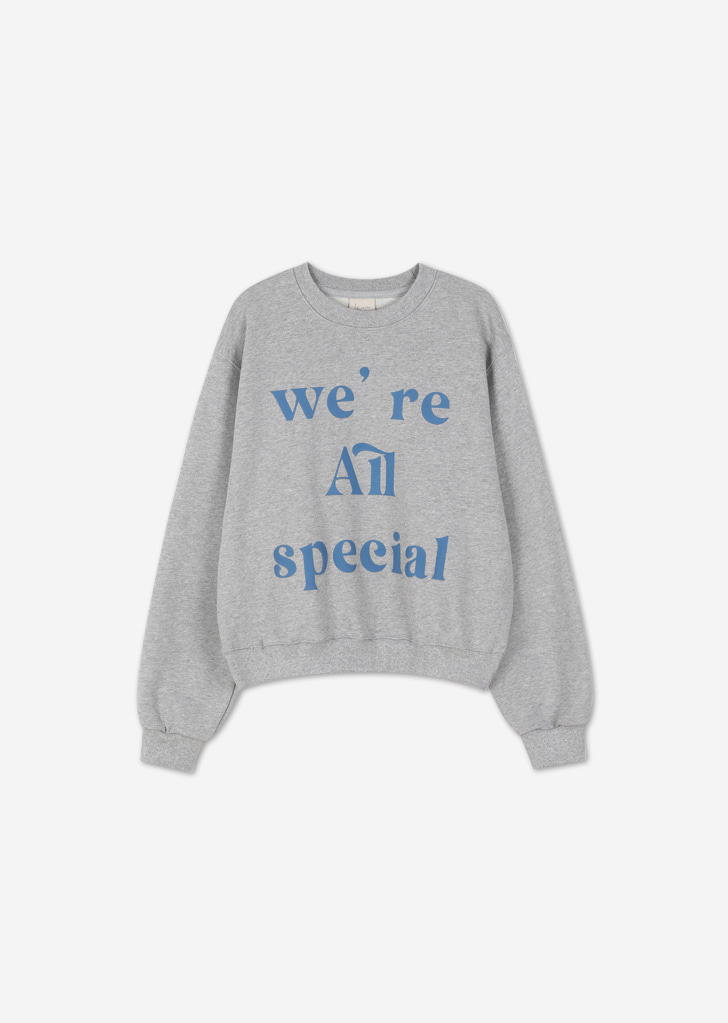 Lossy Special Sweatshirt [Melange Grey]