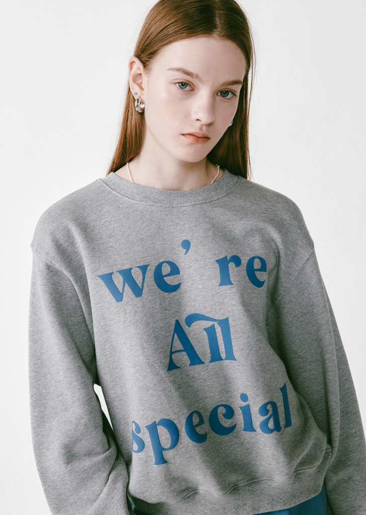 Lossy Special Sweatshirt [Melange Grey]